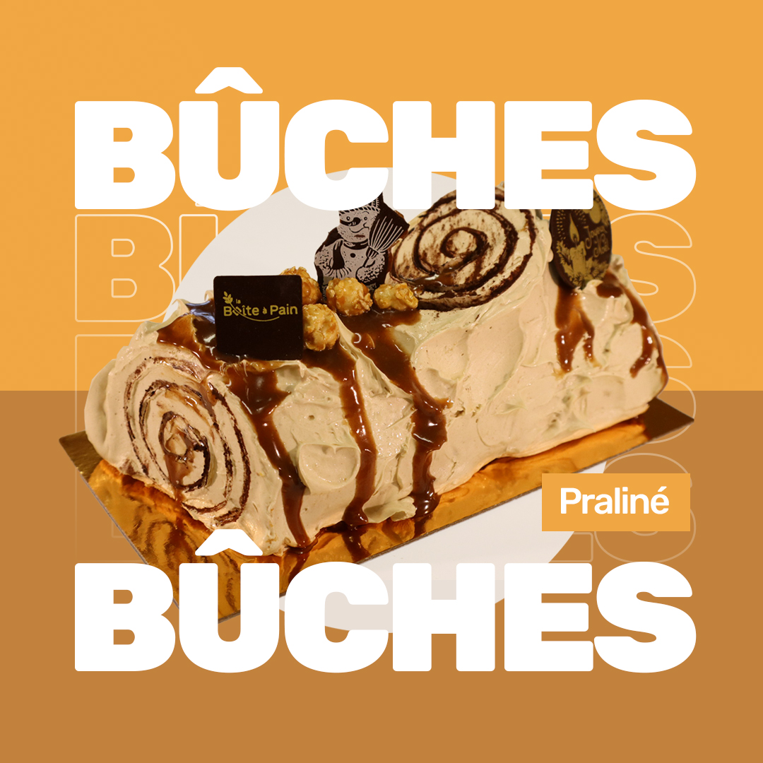 buche-de-noel-praline